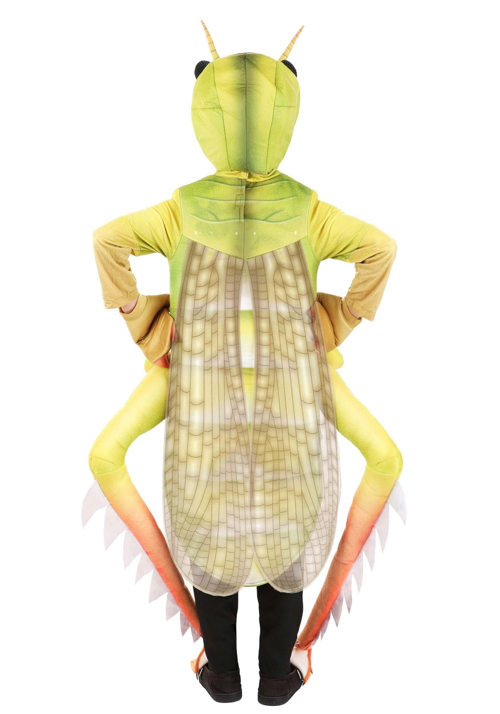 Fun Costumes Kid\'s Deluxe Grasshopper Costume, Green Insect Halloween Outfit Medium