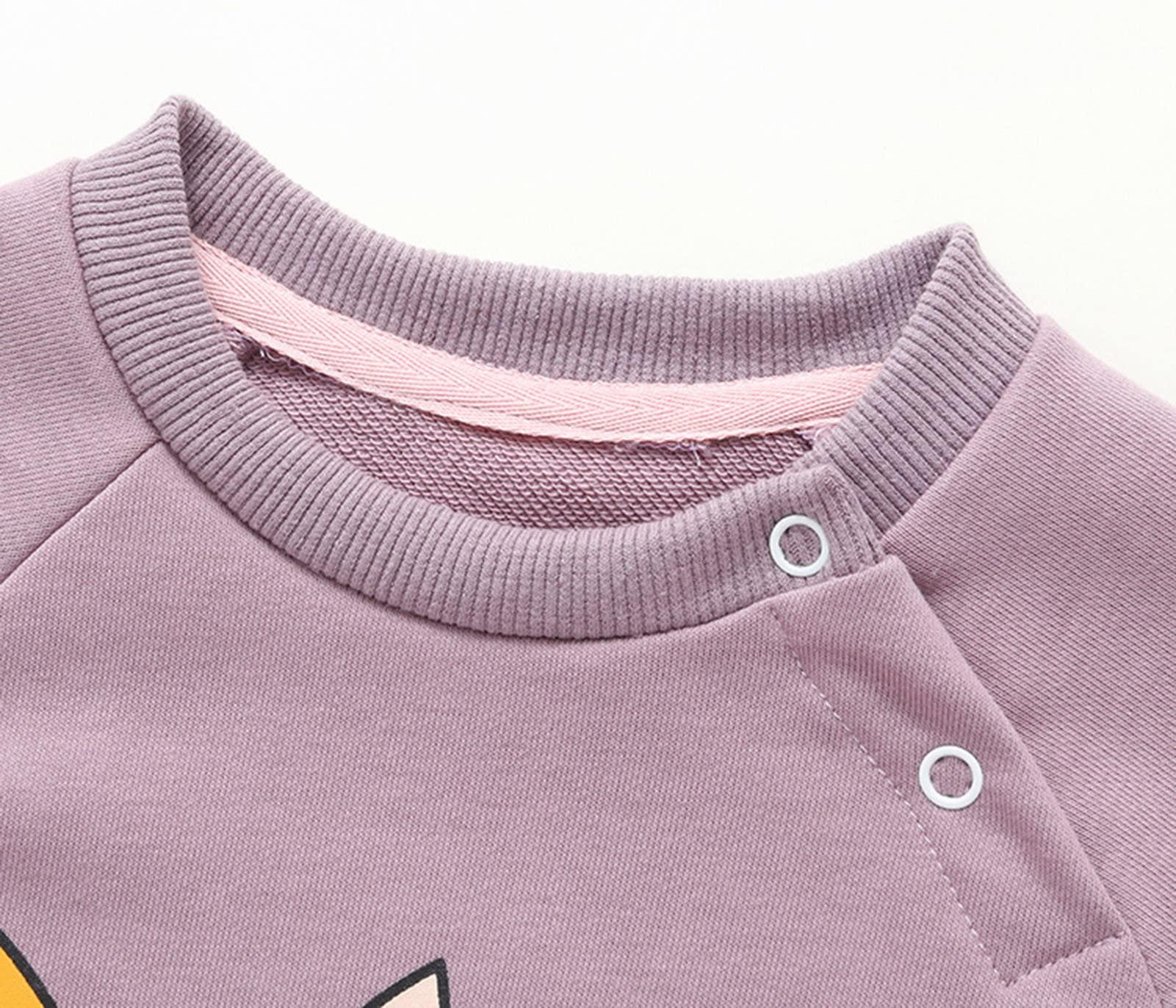 Generic Dinosaur Costume for Kids Toddler Baby Boys Girls Long Sleeve Cute Cartoon Animals Sweatshirt (Purple, 2-3 Years)