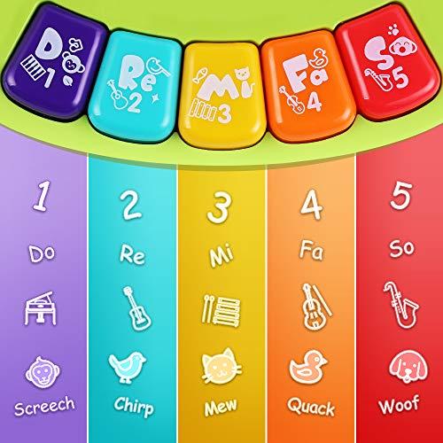 iPlay, iLearn iPlay, iLearn Baby Music Elephant Toys, Toddler Electronic Learning Sensory Toy, Musical Piano Keyboard W/ Lights Sounds, Infant Birthday Gift for 6 9 12 18 24 Months, 1 2 Year Olds Kids Boys Girls