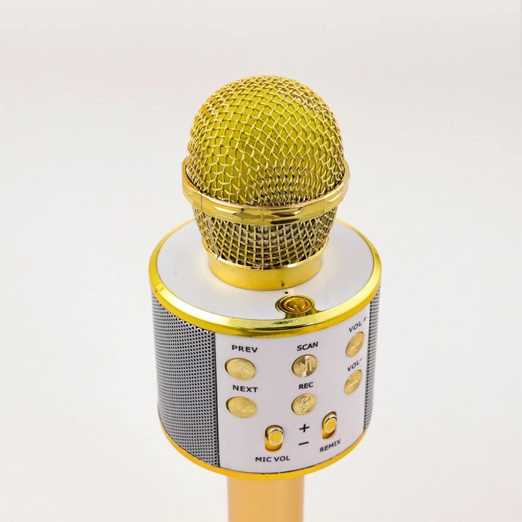 Generic Wireless Karaoke Microphone