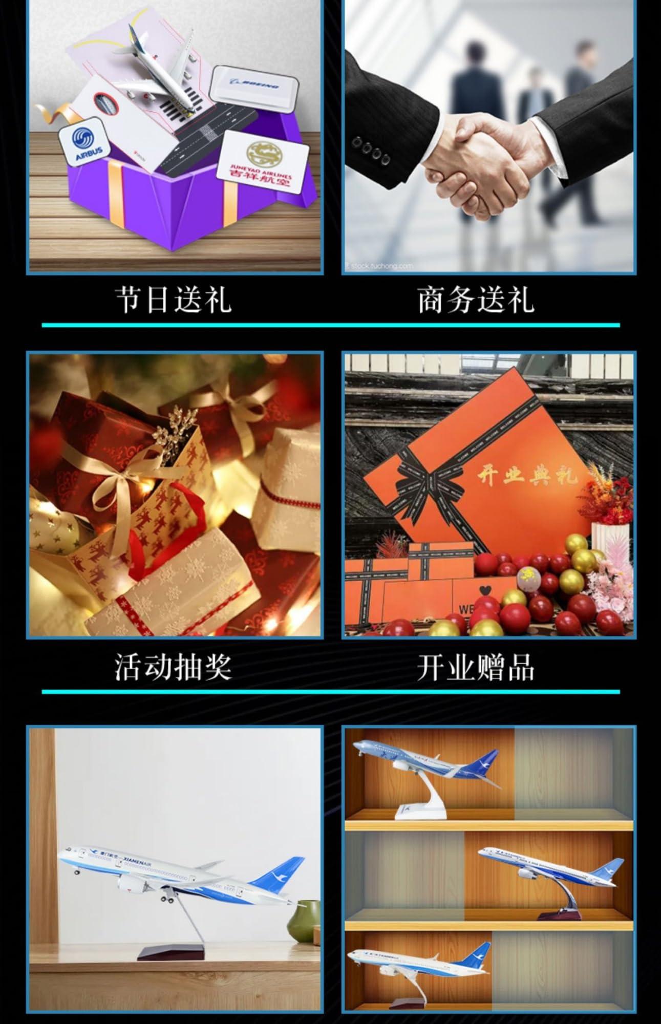 ZHANGJU ZHANGJU for Simulated Static ThunderB-UAV Drone Model Collection Gift Commemorative Ornaments