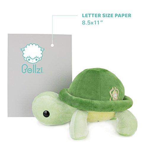 Bellzi turtle hot sale