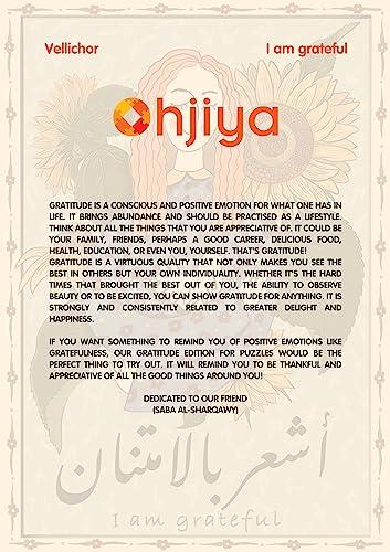 HPI Racing HPI Racing 160323 Baja 5B Gas SBK Kit (No Engine)