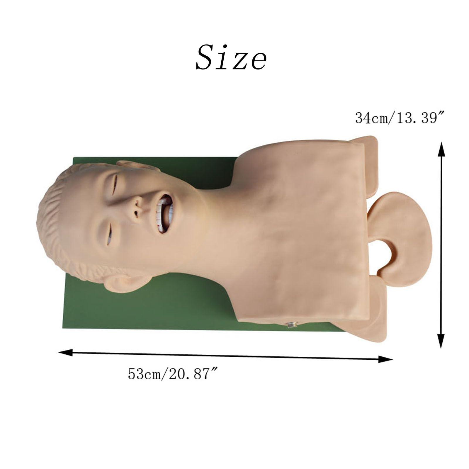 INTBUYING INTBUYING Electron Intubation Model Adult 110V-220V Airway Management Trainer with Alarm Function Intubation Practice Mannequin