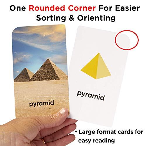 Think Tank Scholar Think Tank Scholar Preschool & Early Math Learning Bundle | Alphabet, Numbers & Counting, Colors & Shapes, First Words and & Opposites, Rhyming | Addition and Subtraction (All Facts Color Coded)