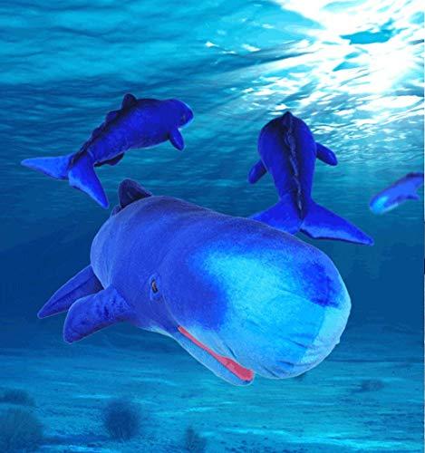 BOLLAER BOLLAER Sperm Whale Plush Toy, Doll Rag Doll Children's Pillow Creative Animal, Holding a Sleeping Plush Toy Birthday Present.