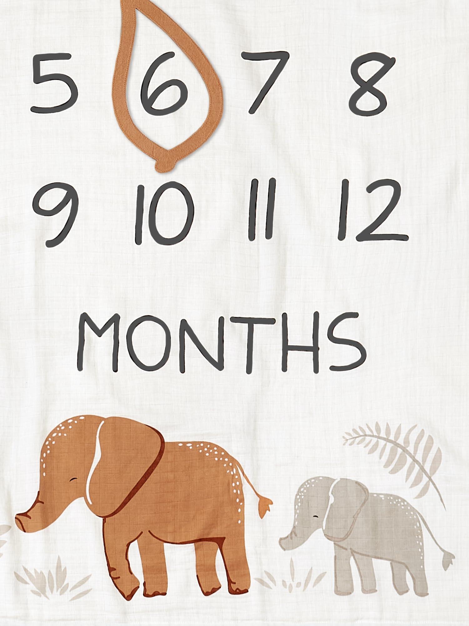 Modern Moments by Gerber Modern Moments by Gerber Muslin Milestone Blanket with Felt Month Marker Frame