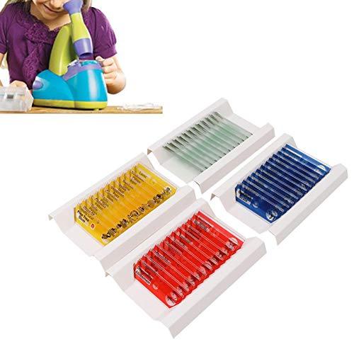 Oreilet Biological Prepared Slide, 4 Colors Professional 48pcs Specimens Slide, Microscope Slide, Gift for Kids School Including Animals, Insects Uniform