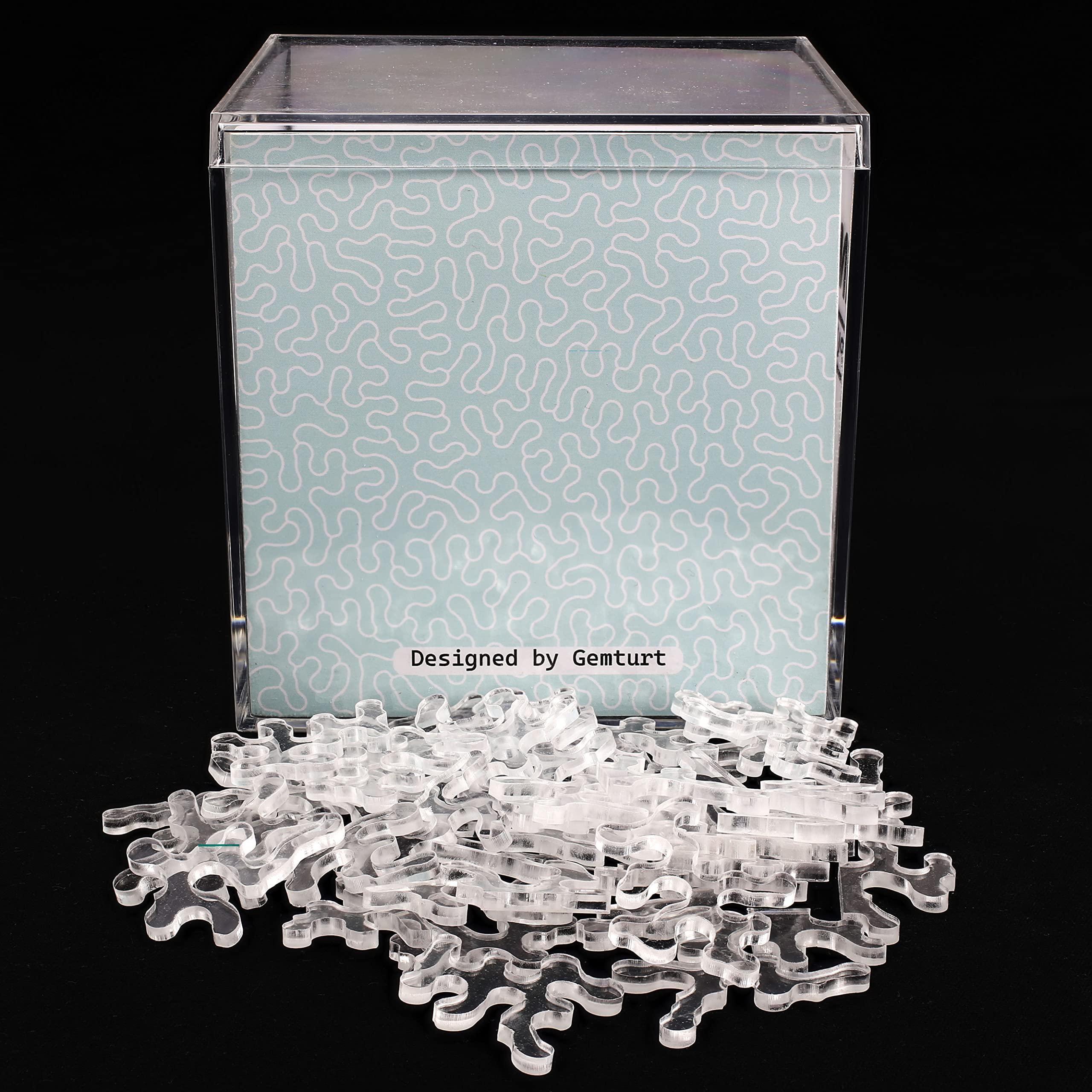 GEMTURT PUZZLE Impossible Fresh Air - Unique Jigsaw Puzzle - Blue Transparent Acrylic 240 Pieces Non-Repeat Shape - Difficult Puzzle for Adults - Clear Hard Interest Puzzle by GEMTURT (Fresh Air 240 Pieces)