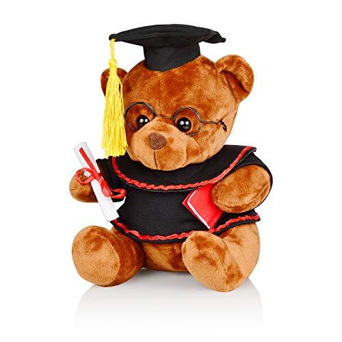 Bear with graduation clearance hat