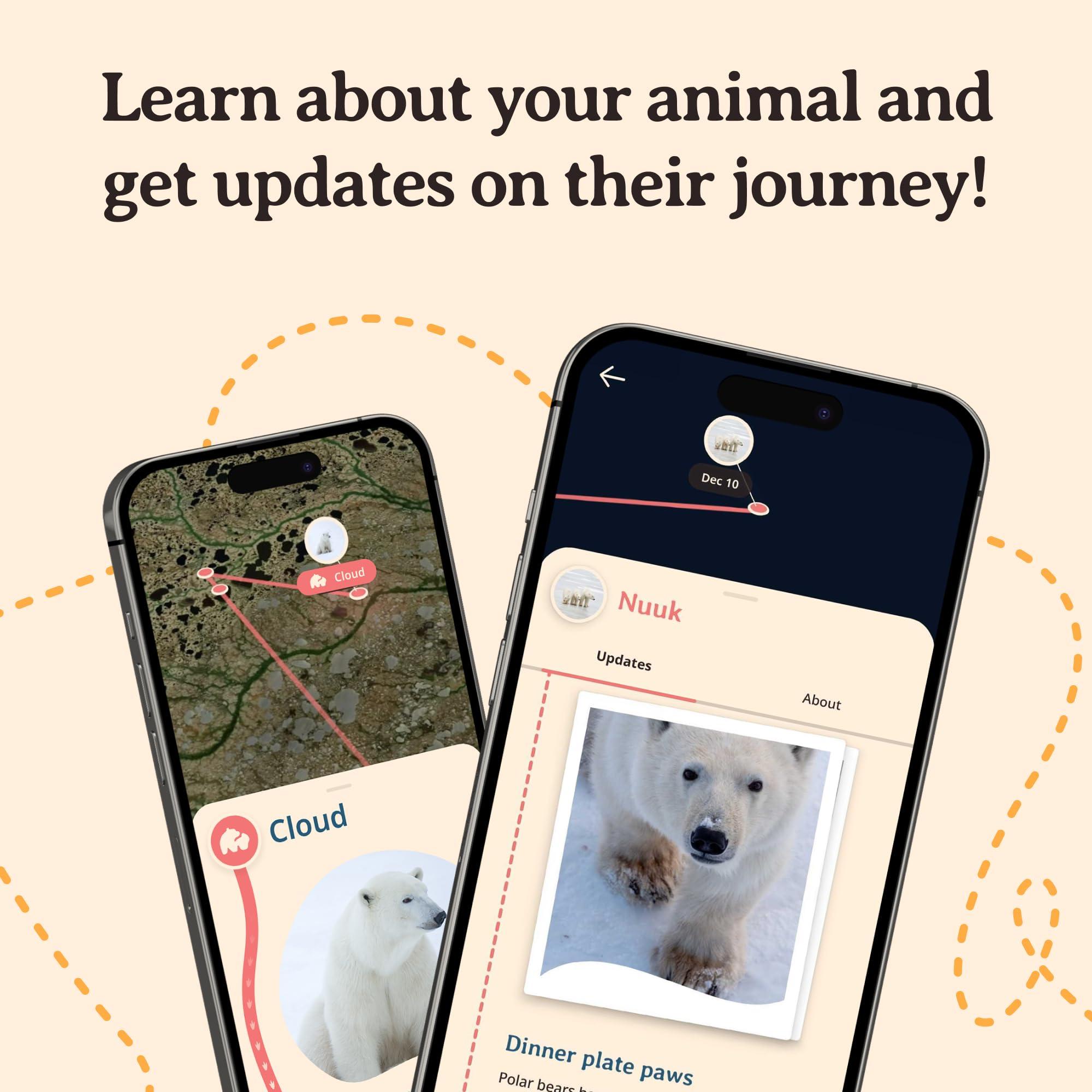 Fahlo Fahlo Polar Bear Tracking Bracelet, Elastic, supports Polar Bears International, one size fits most for Men and Women