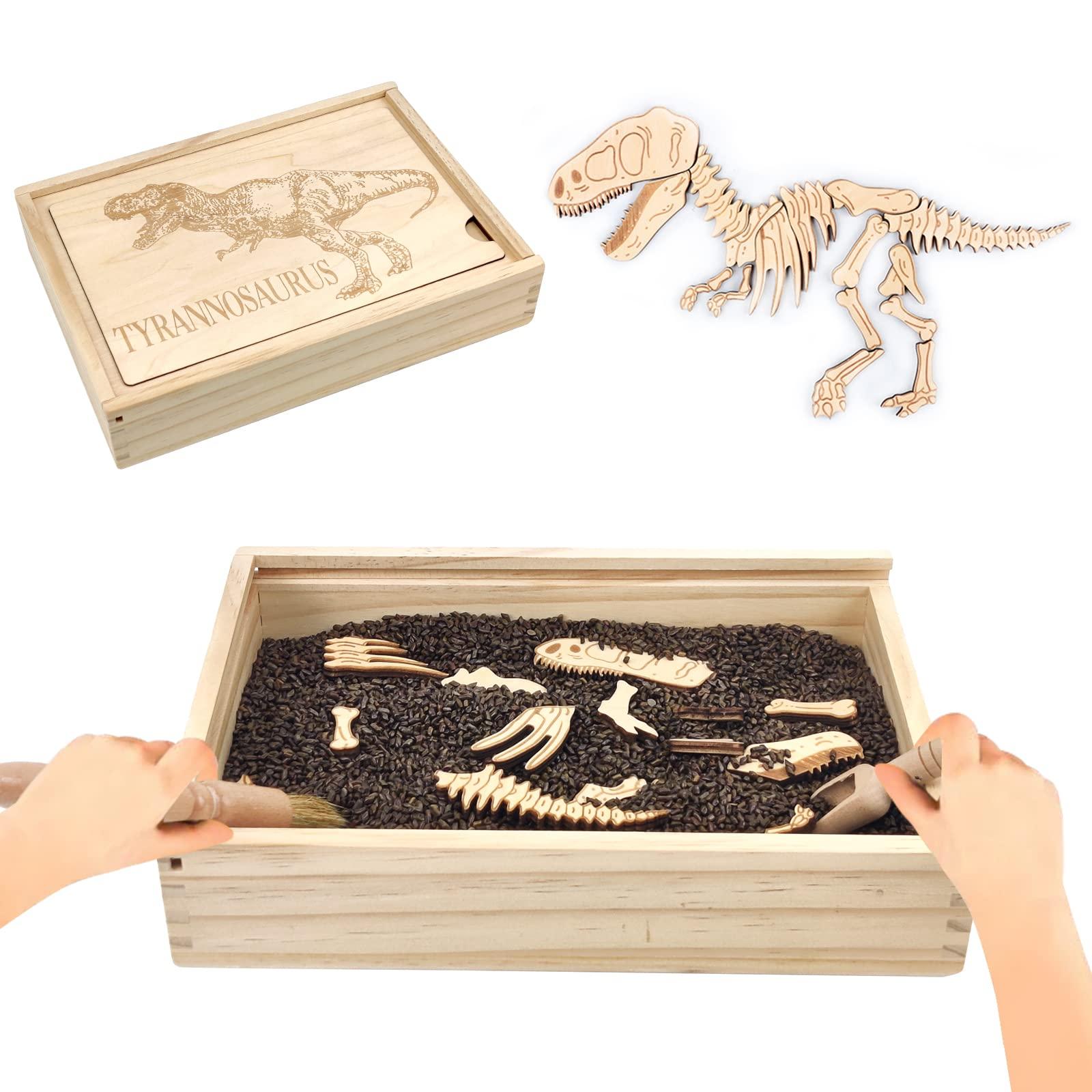 Xylolin Xylolin Dinosaur Excavation Archaeology Dig Kit for Kids, Fossil Explore Sensory Bin Toys, Dino Skeletons Bones Puzzle Game, Archaeology Science STEM Toys for Boys and Girls (Tyrannosaurus)