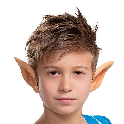 Disguise Link Costume for Kids, Official Zelda Breath of The Wild Costume, Classic Child Size Large (10-12) Multicolored