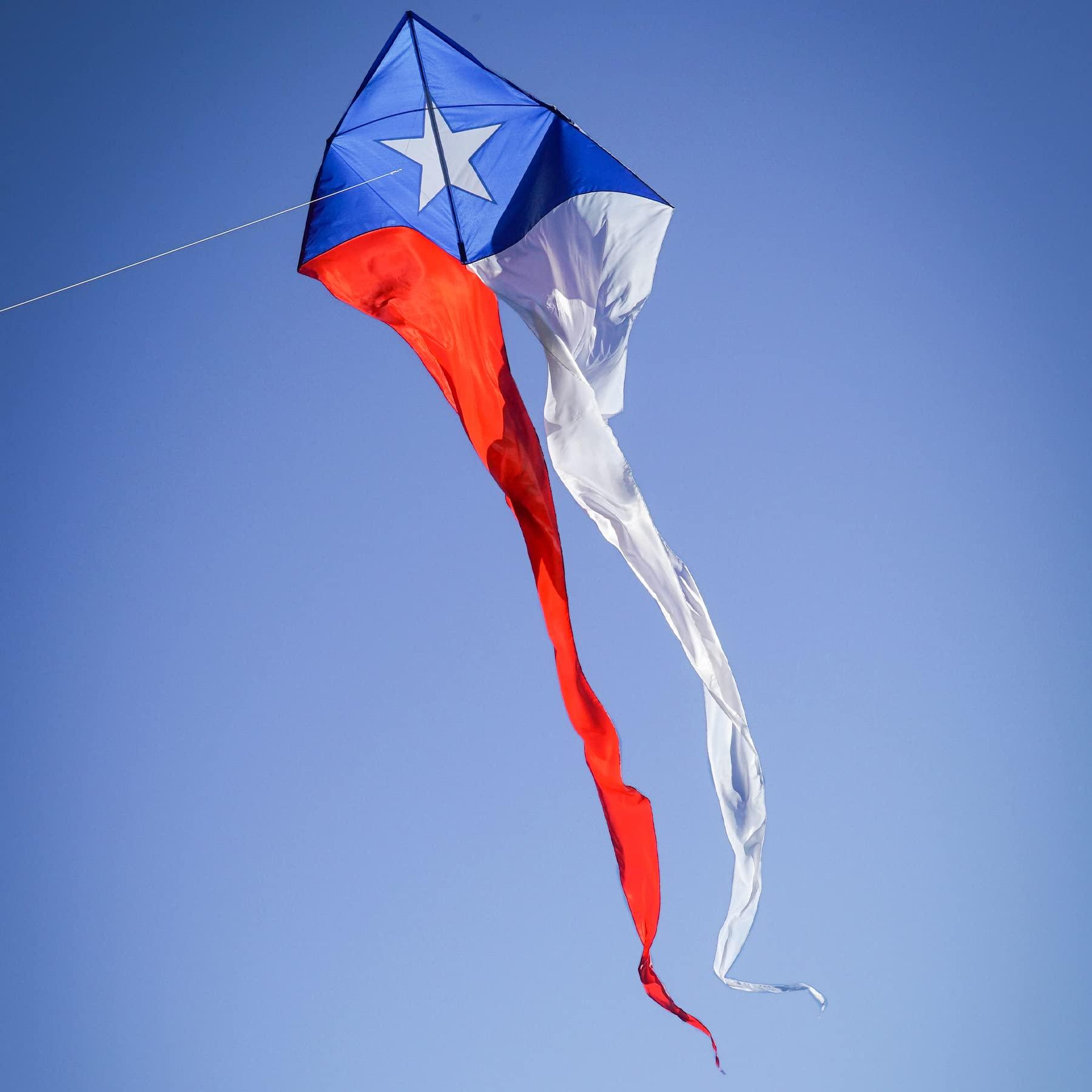 In the Breeze In the Breeze 3357 Texas 77\" Wave Delta Kite Easy Flying Single Line Large Ripstop and Taffeta Kite
