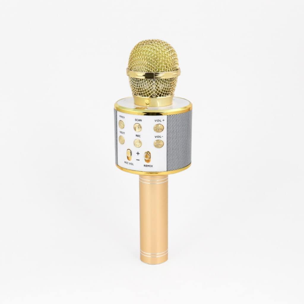 Generic Wireless Karaoke Microphone