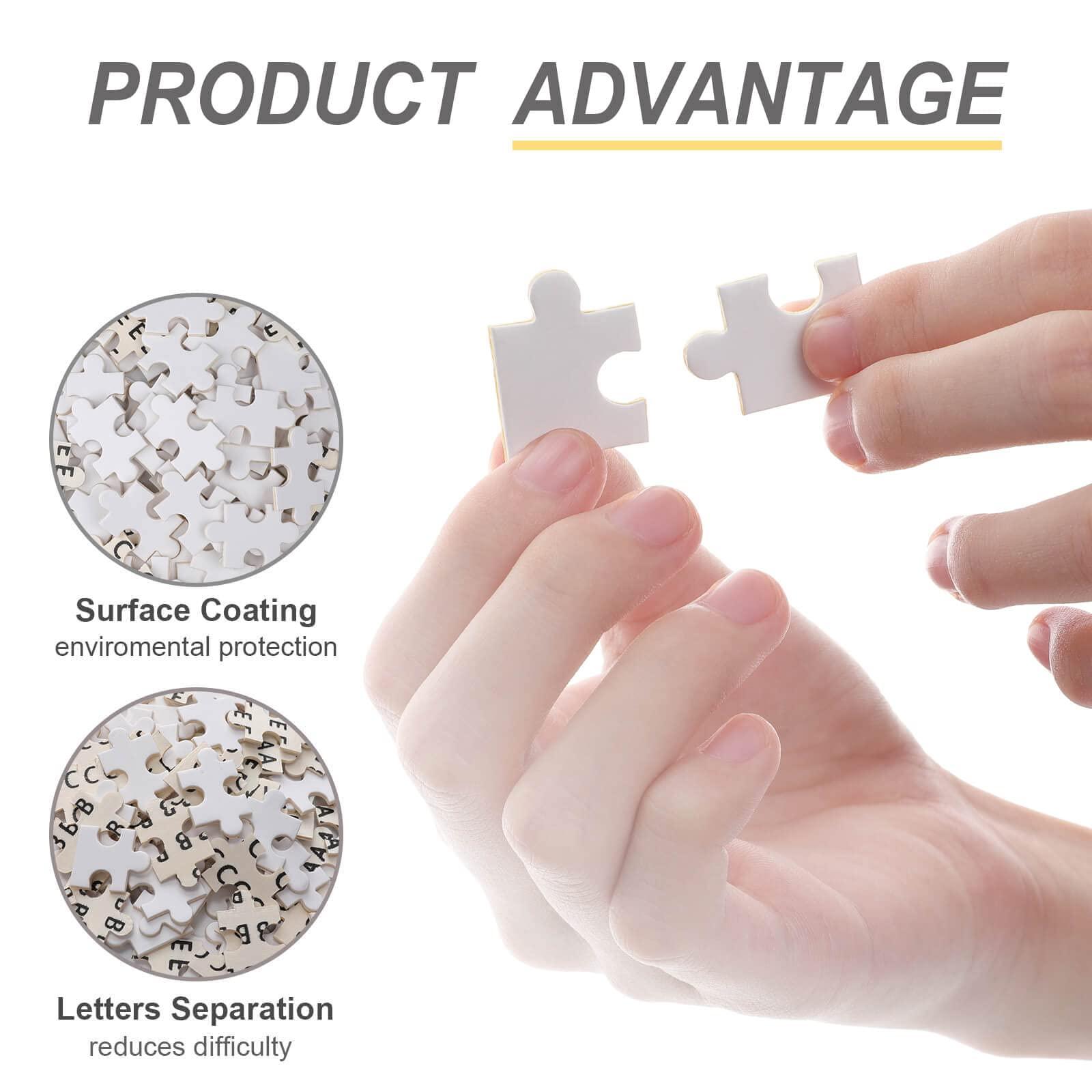 gaeaverse 500/1000pcs Puzzles,US Indiana Dunes National Park Landscape Puzzle,Jigsaw Puzzle for Adults,Home Decoration Gift,Decompression Toys (1000pcs)