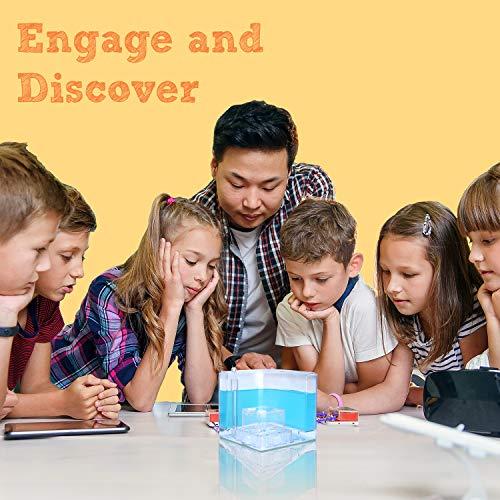 NAVADEAL NAVADEAL Ant Farm Castle Experiment and Toy Allows Study of Social Structure, Architecture, Ecosystem, and The Behavior of Ants Within The 3D Maze of Translucent Gel