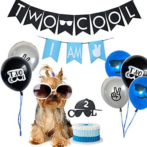 PATYFEIR Two Cool Birthday Party Decorations Supplies, Two Cool Banner Cake Topper, I AM TWO Banner, Two Cool Balloons for Little Man Sunglasses 2nd Birthday Boy Party Supplies Decoration