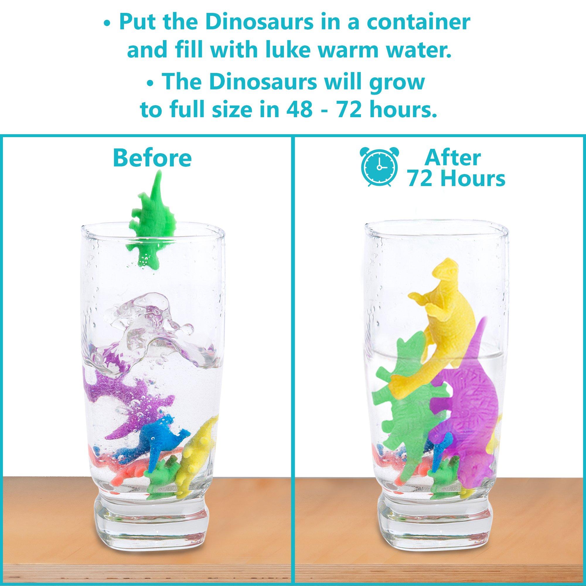 IPIDIPI TOYS IPIDIPI TOYS Water Growing Dinosaurs - 32 Pack & 25 Pack - Expandable Animals Stocking Stuffers for Kids, Party Favors - Great Gift for Boys and Girls, Goodie Bag Fillers for Kids 3 4 5 6 7