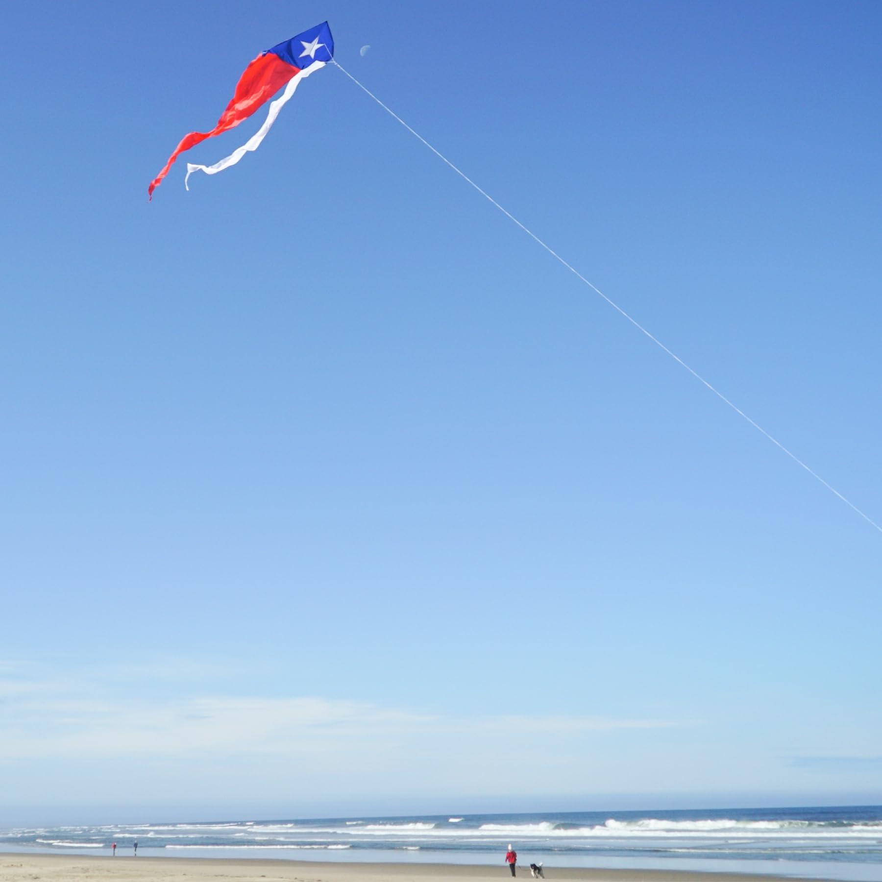 In the Breeze In the Breeze 3357 Texas 77\" Wave Delta Kite Easy Flying Single Line Large Ripstop and Taffeta Kite