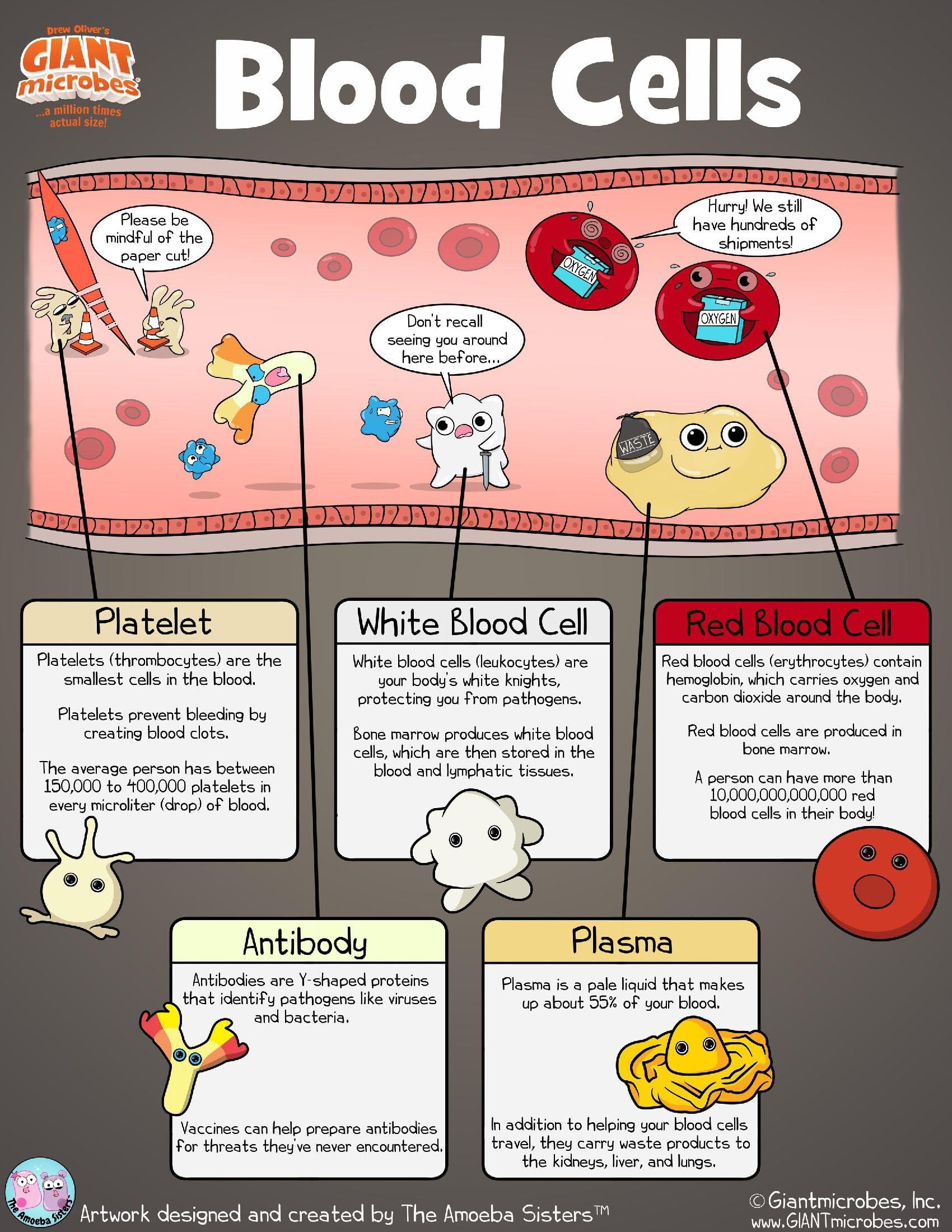 GIANT MICROBES GIANTmicrobes Red Blood Cell Plush, Blood Cell Plush, Blood Bank Laboratory Gifts, Lab Tech Gifts, Hematology Gifts, Leukemia Gifts, Phlebotomy Gifts, Phlebotomist Gifts