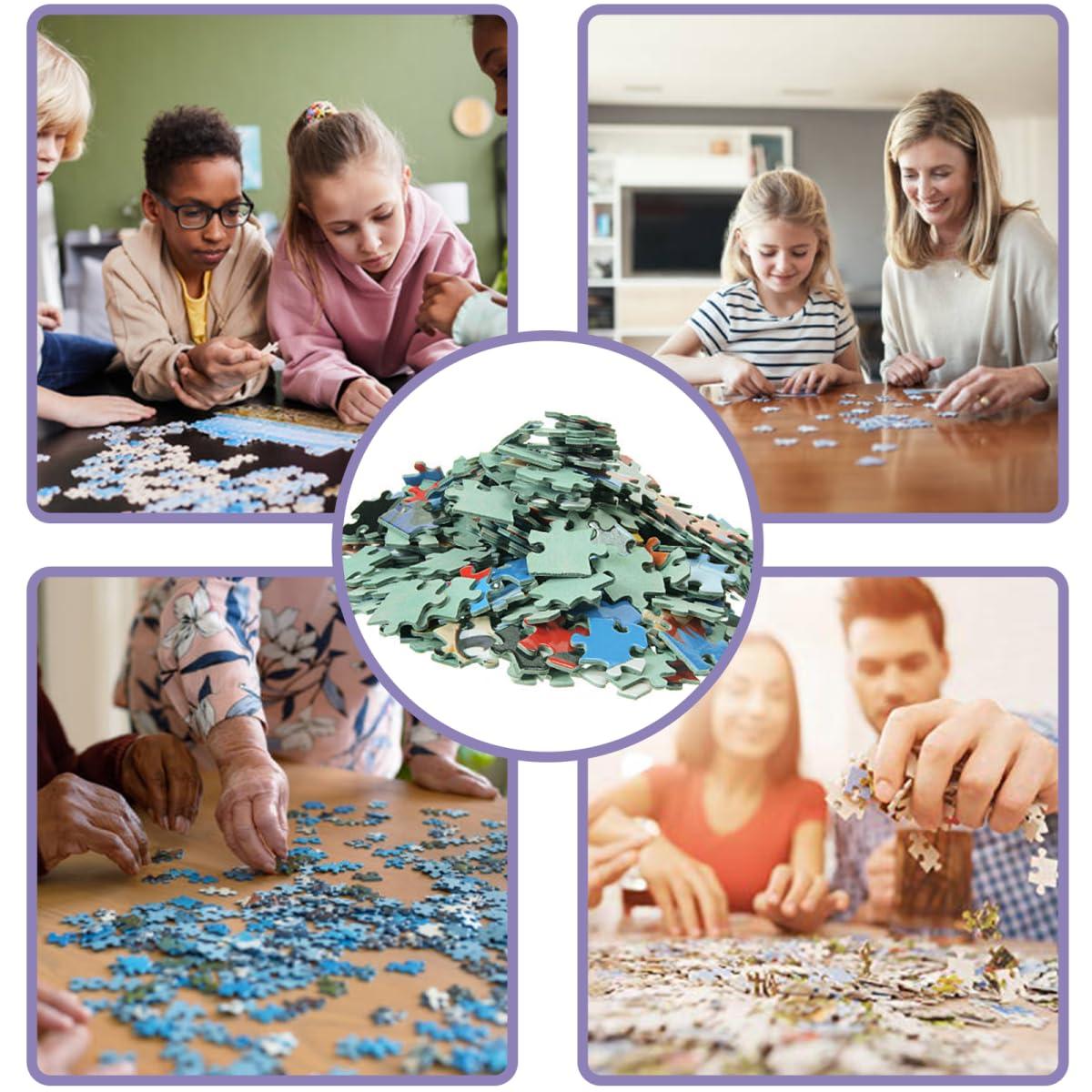 Directo Animal Jigsaw Puzzles, Starry Night Hummingbird Animal Themed Puzzles for Adults - 1000 Pieces Jigsaw Puzzles, Educational Games Gift for Elders Family and Friends 20 * 28.8 inch