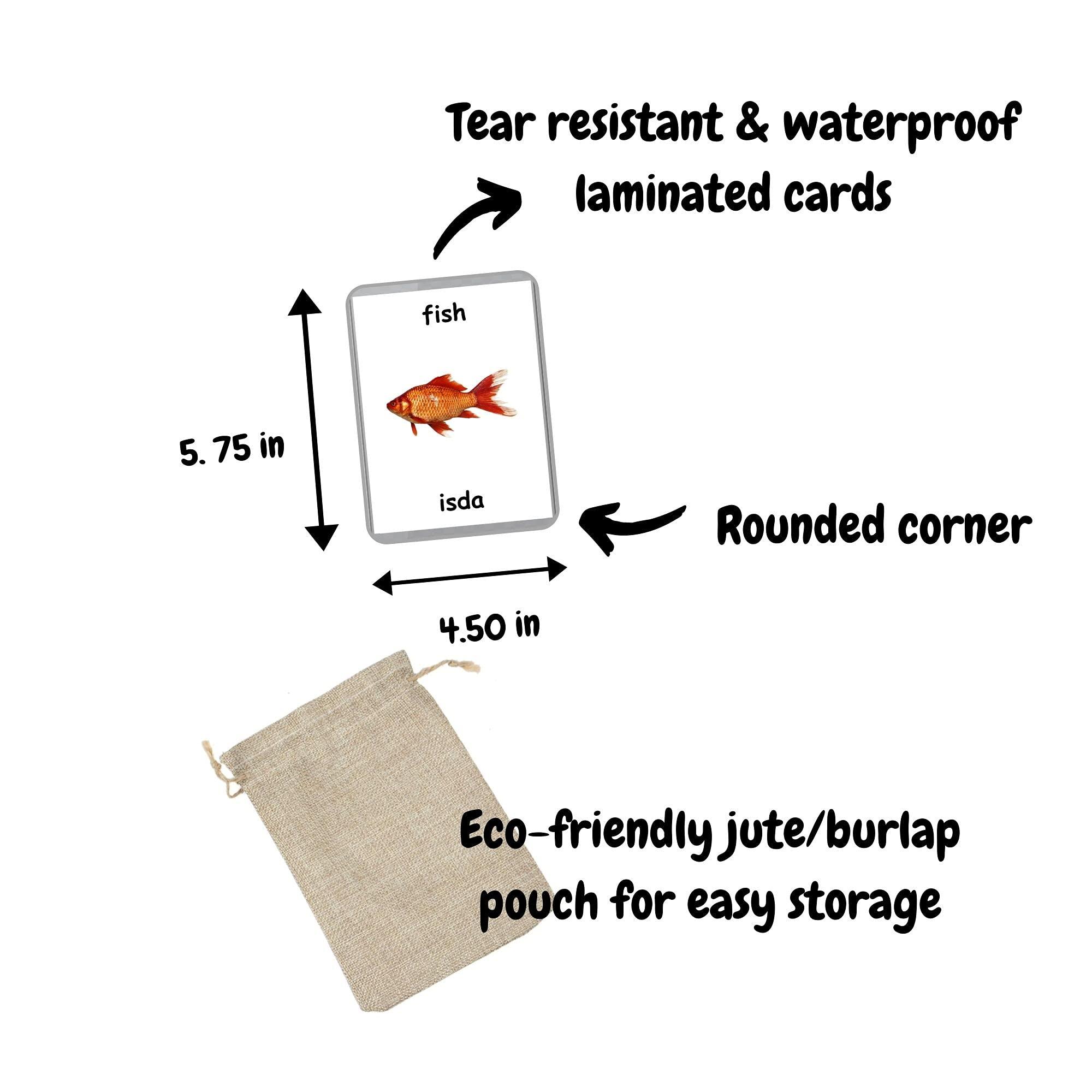 Generic Sea Animals Flash Cards - 26 Laminated Flashcards | Ocean Animals | Water Animals | Homeschool | Multilingual Flash Cards | Bilingual Flashcards - Choose Your Language (Filipino + English)