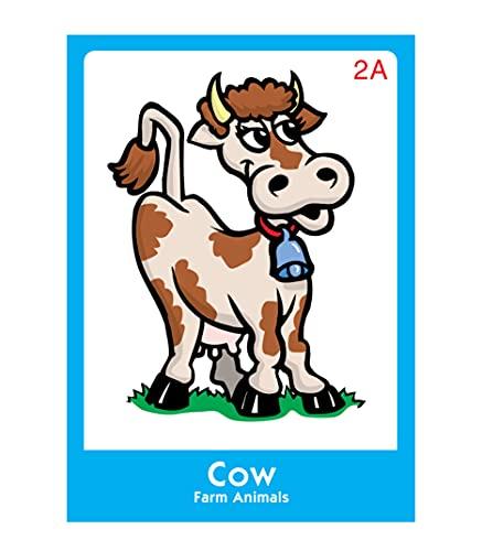 Super Duper Publications Super Duper Publications | Classifying Fun Deck Flash Cards | Educational Learning Resource for Children