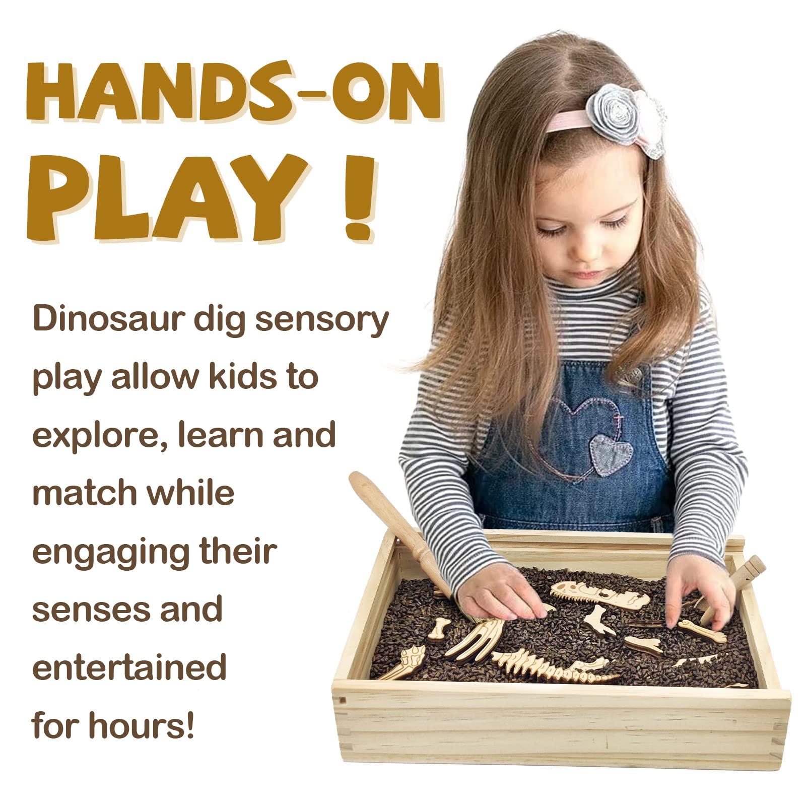 Xylolin Xylolin Dinosaur Excavation Archaeology Dig Kit for Kids, Fossil Explore Sensory Bin Toys, Dino Skeletons Bones Puzzle Game, Archaeology Science STEM Toys for Boys and Girls (Tyrannosaurus)