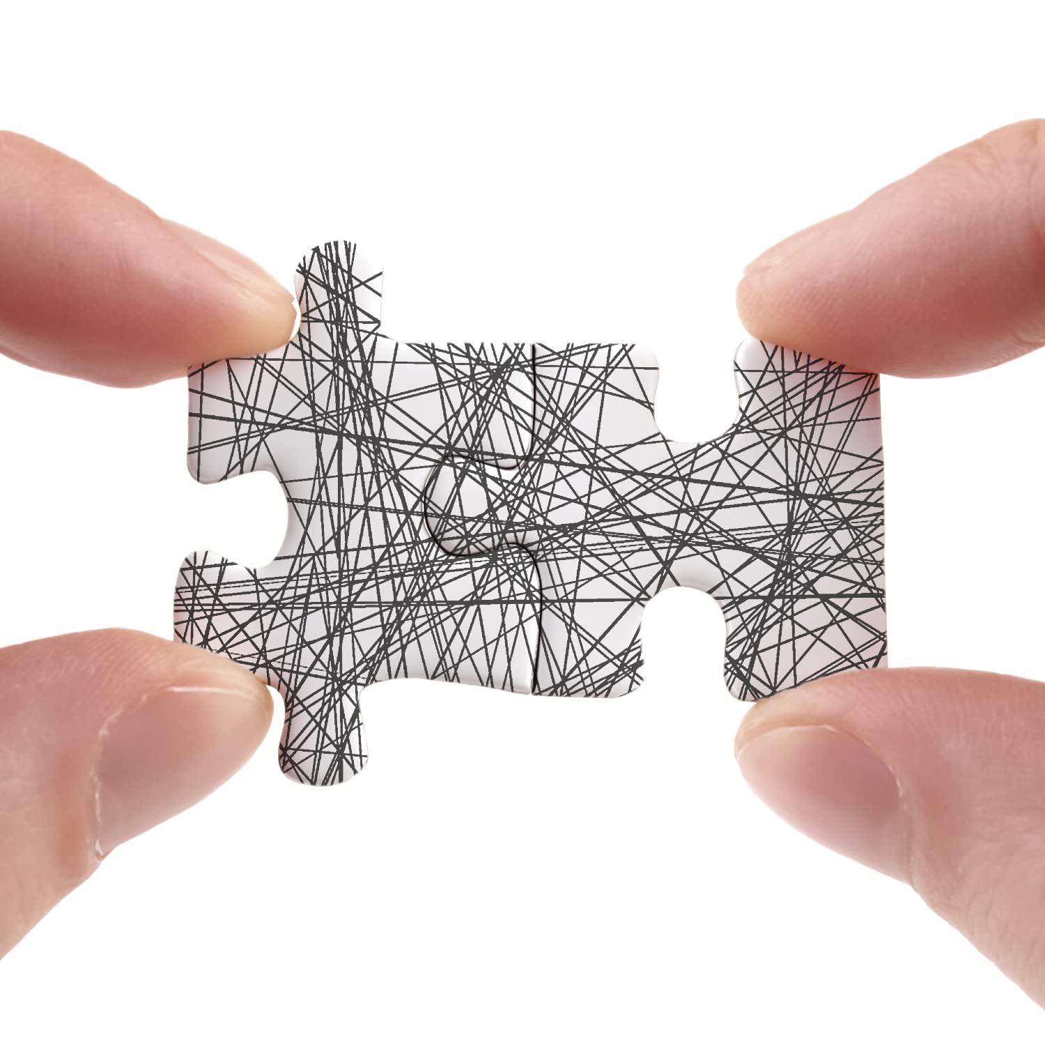 BBOLDIN Hard Puzzles for Adults 1000 Pieces, Impossible Difficult Line Puzzle, Challenging Jigsaw Puzzles for Adults 1000 Pieces and Up