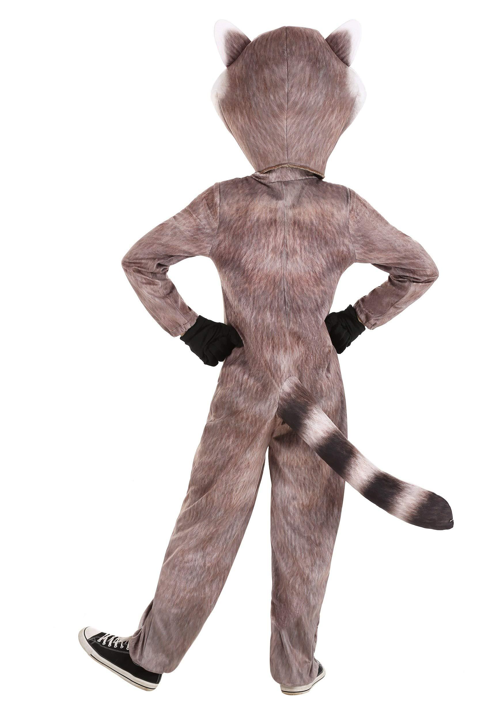Fun Costumes Fun Costumes Realistic Raccoon Kid's Costume Small
