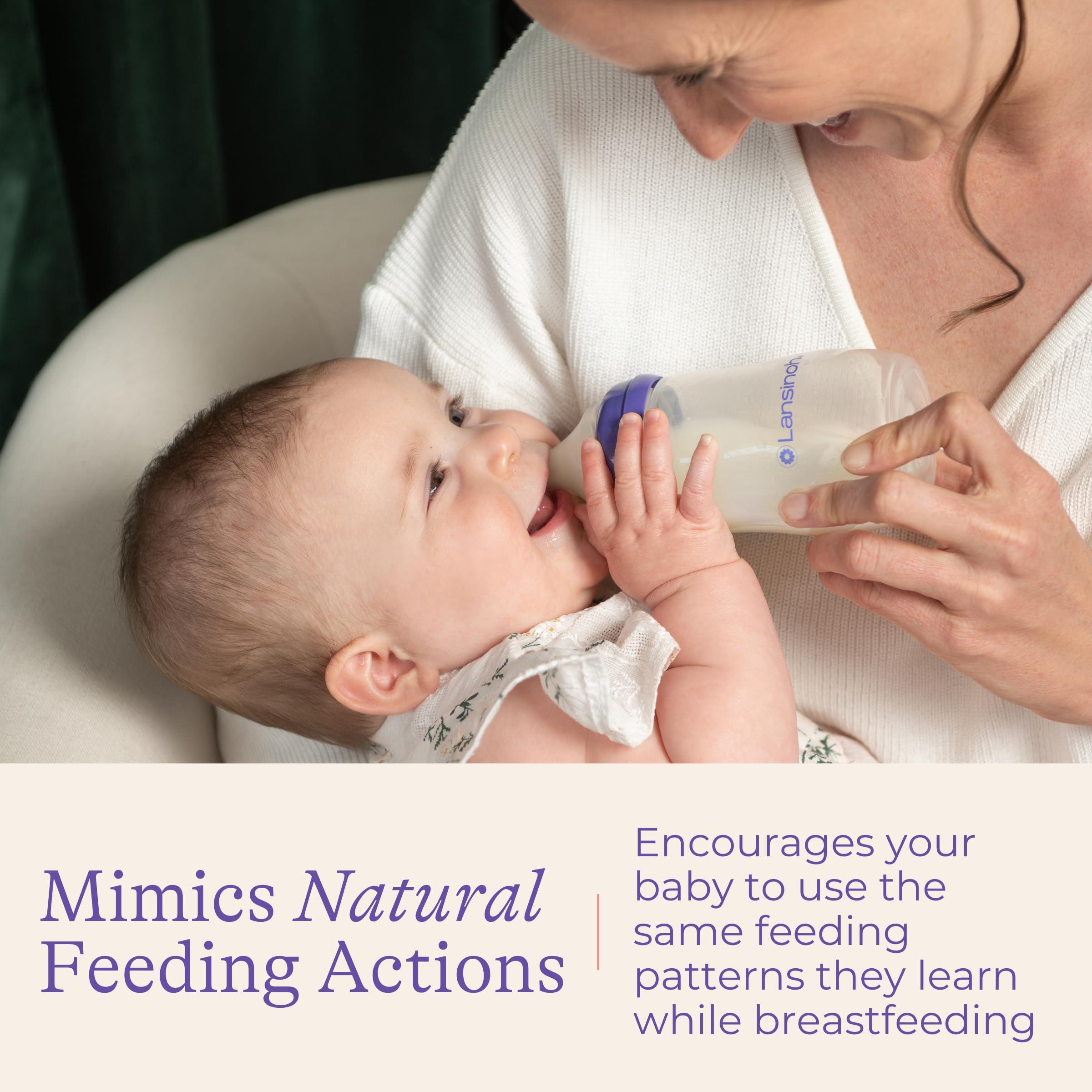 Lansinoh Lansinoh Anti-Colic Baby Bottles for Breastfeeding Babies, 8 Ounces, 6 Count, Includes 6 Medium Flow Nipples, Size M