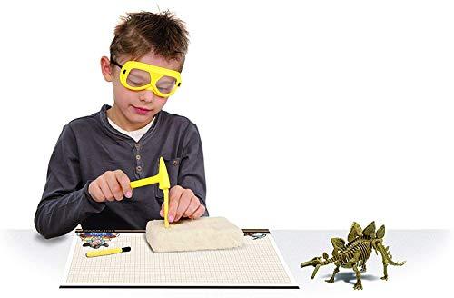 Geoworld Unbekannt Geoworld 625310 – Dr. Steve Hunters: Dinosaur Excavation Kit Stegosaurus Skeleton – Age 6 +, Size: 28 cm