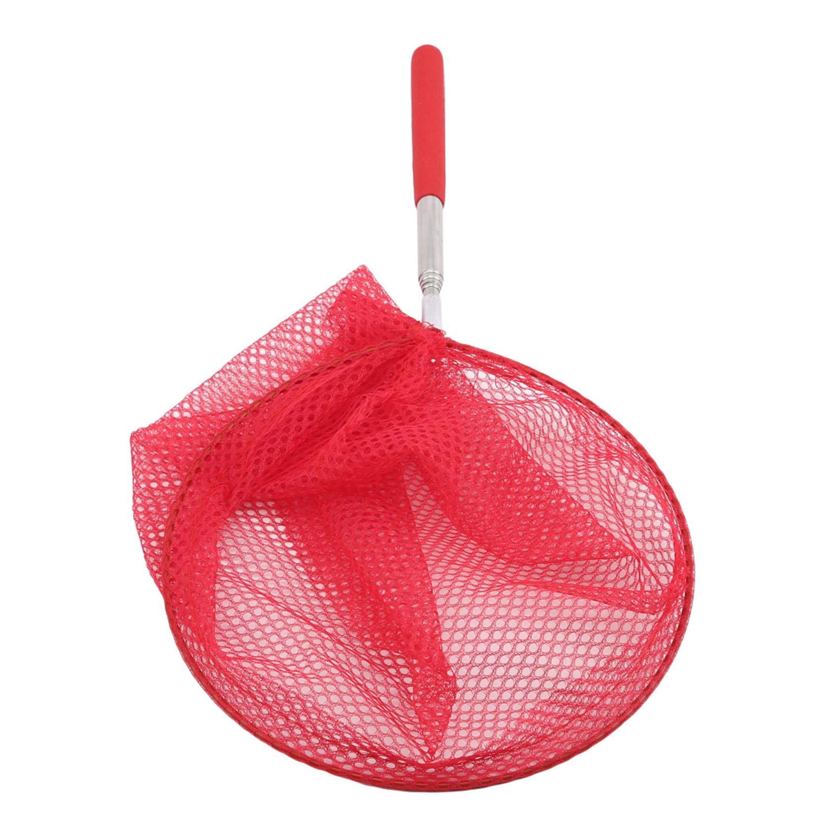 Generic Essencedelight Telescopic Butterfly Net Dragonfly Nets Insect Collecting Net Bug Catching Net Extendable Bird Net Fishing Nets Outdoor Tools,red
