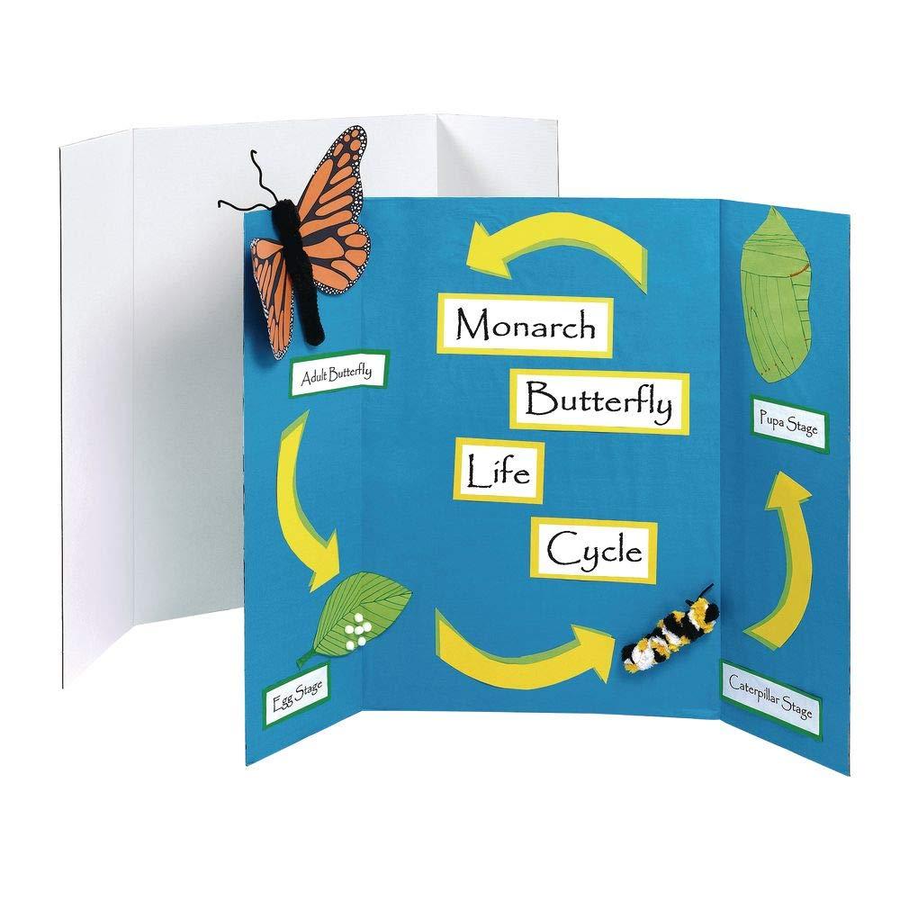 Colorations Colorations Tri-Fold Presentation Boards Set of 10