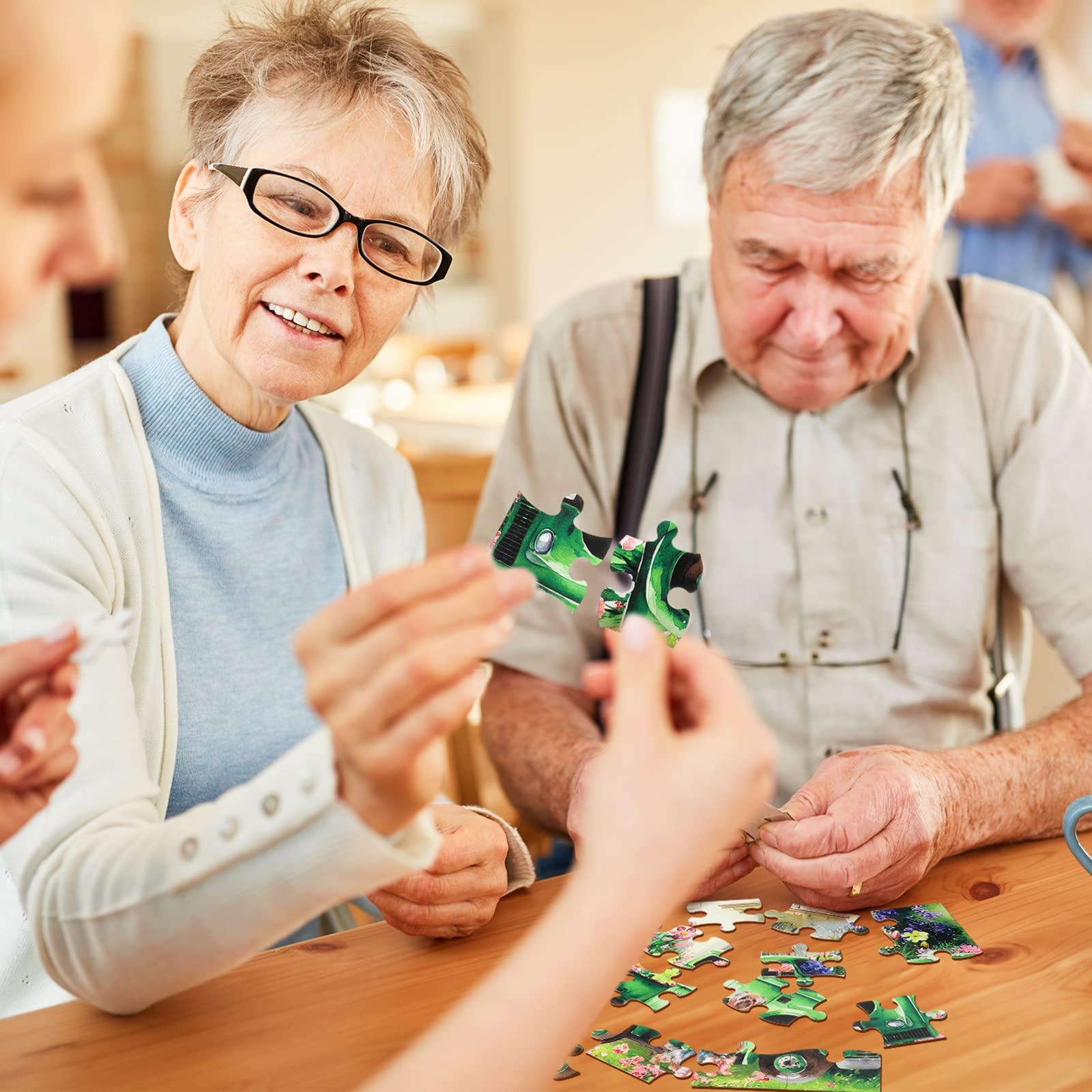 Liliful Liliful 6 Pack 16 Pcs Large Puzzles for Seniors Wooden Dementia Puzzles Alzheimer Puzzles Easy Puzzle for Elderly 12.6 x 9.45 Inch Jigsaw Puzzle for Adults Alzheimer\'s Products Activities