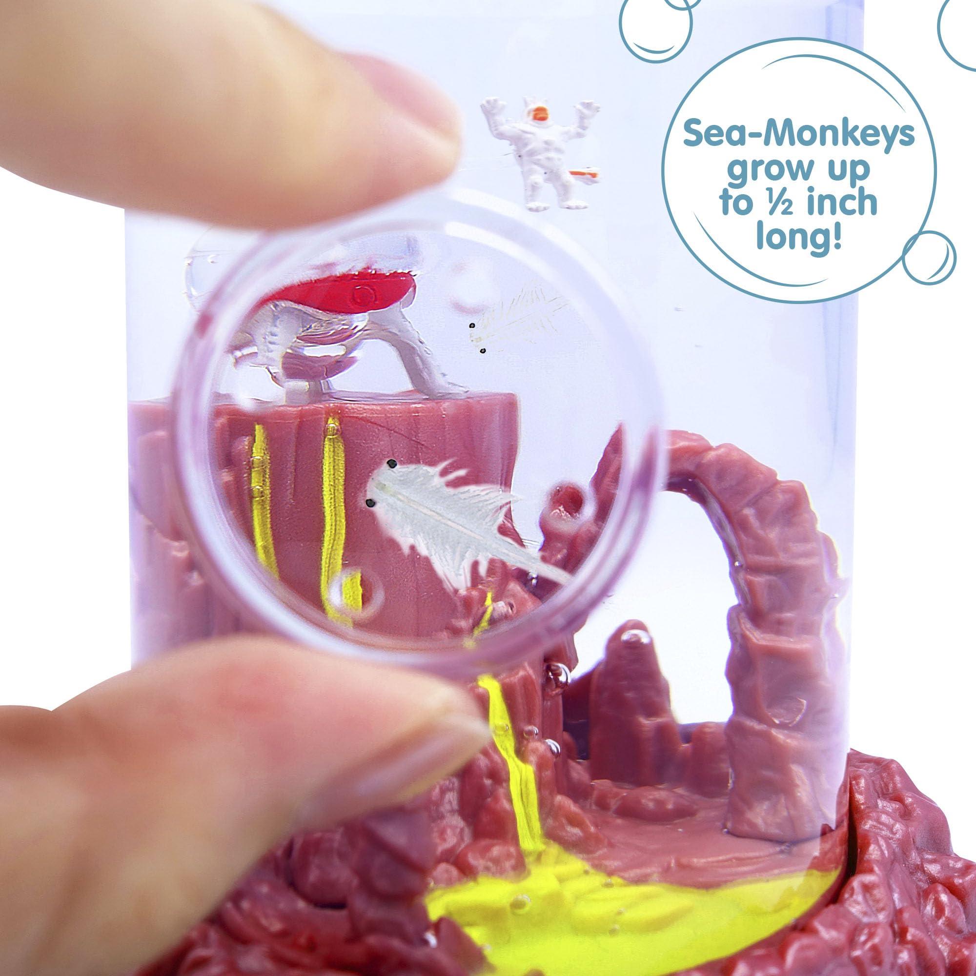 Sea Monkey's Sea-Monkeys On Mars - World\'s Only Instant Pets - Ages 6+ (Pack of 1)