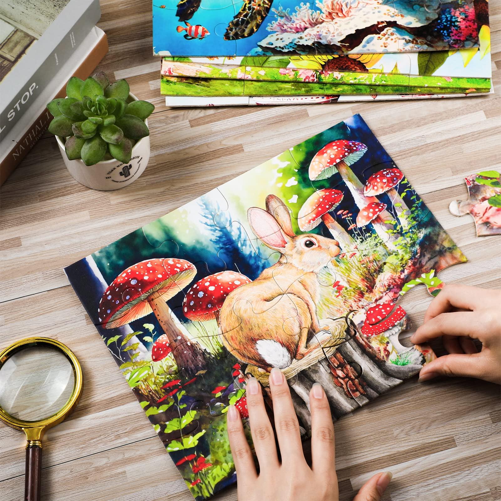 Liliful Liliful 6 Pack 16 Pcs Large Puzzles for Seniors Wooden Dementia Puzzles Alzheimer Puzzles Easy Puzzle for Elderly 12.6 x 9.45 Inch Jigsaw Puzzle for Adults Alzheimer\'s Products Activities