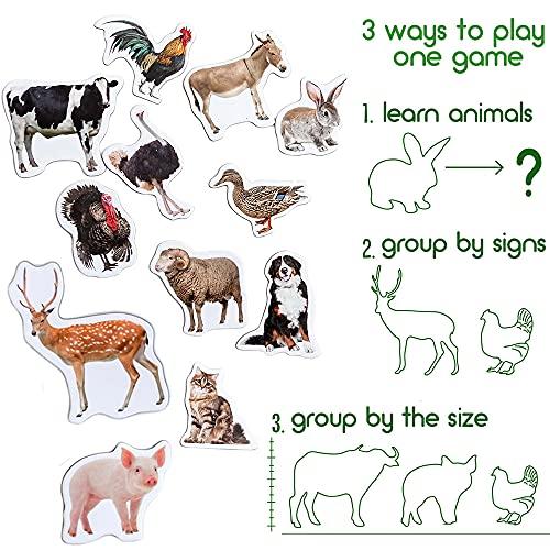 magdum 16 Fridge Magnets for Toddlers Magdum - Farm Photo Kids Magnets for Fridge - Toddler Magnets for Refrigerator - Magnetic Animals - Fridge Magnets for Kids - Animal Magnets - Toddler Fridge Magnets