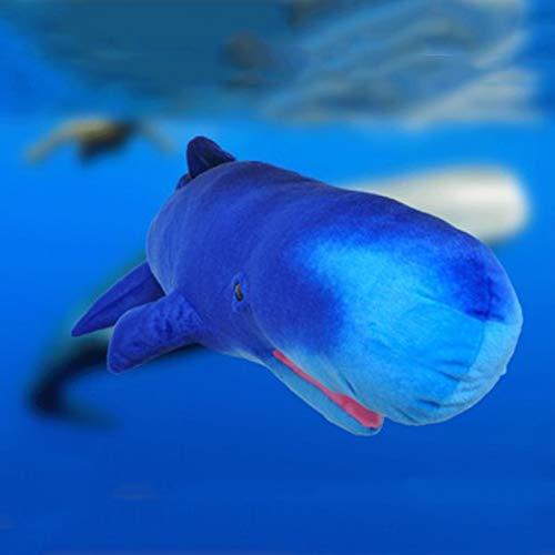 BOLLAER BOLLAER Sperm Whale Plush Toy, Doll Rag Doll Children's Pillow Creative Animal, Holding a Sleeping Plush Toy Birthday Present.