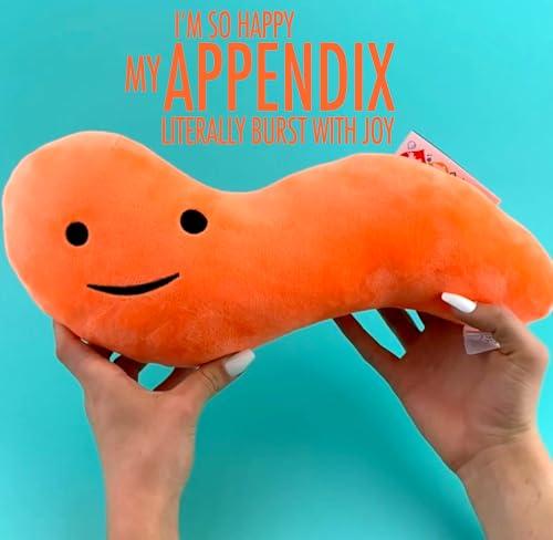 I Heart Guts I Heart Guts Appendix Plush - Feel It In Your Gut - 14\" Stuffed Organ Plush Toy, Appendix Removal Get Well Gifts, Ideal for Appendicitis, Kids, Nurses, Medical Students,Surgery