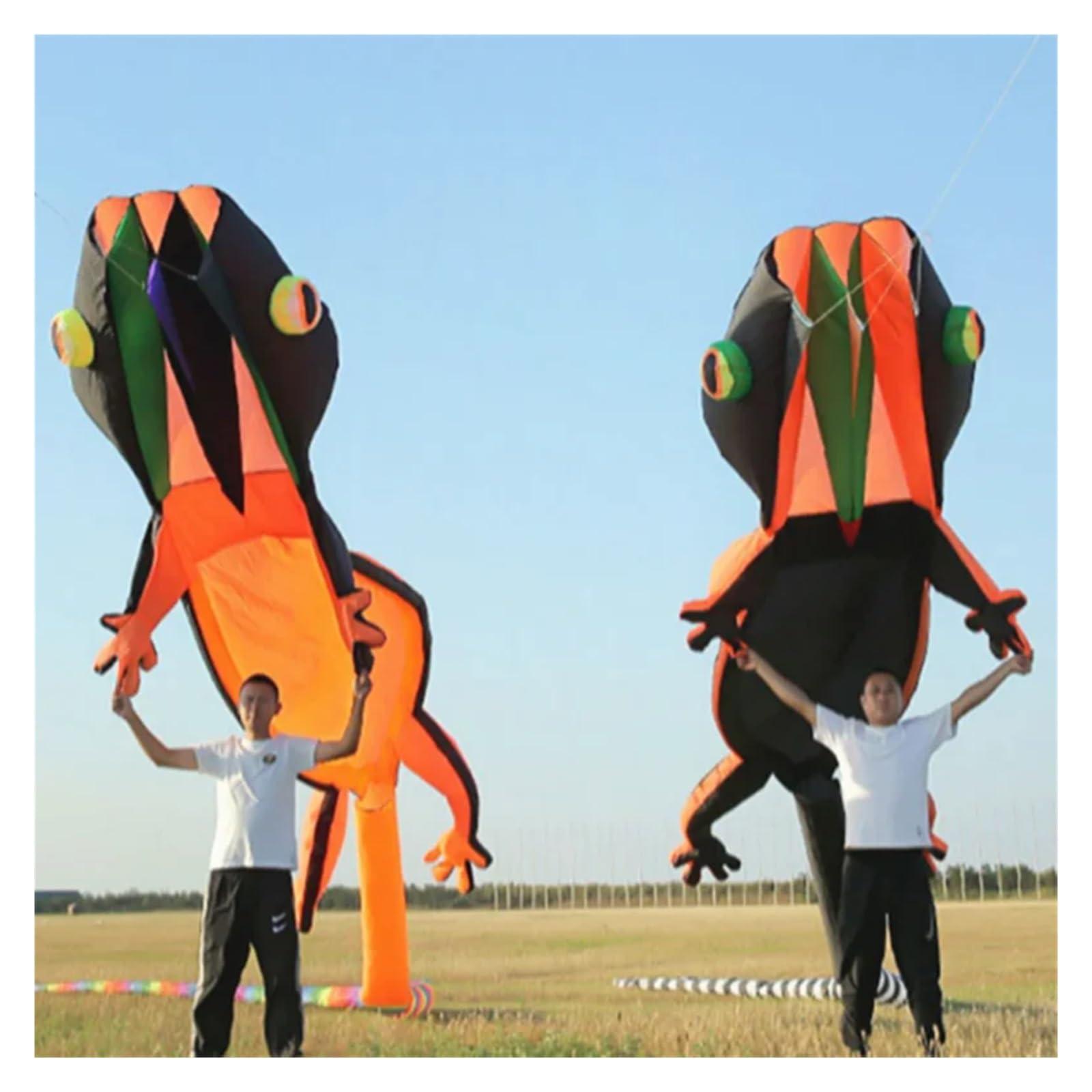UqaBs 3D 14M Inflatable Gecko Lizard Kite, Large Soft Skeletonless Animal Kite, Outdoor Flying Sports Tear Resistant Material Kite (Color : Style 1)