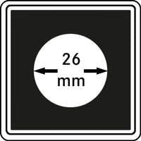 Yair Yangtze Yair Yangtze DIY Skateboard Playset Finger Board Sets with Nuts Trucks Tool Kit Packaged in Box for Kids C