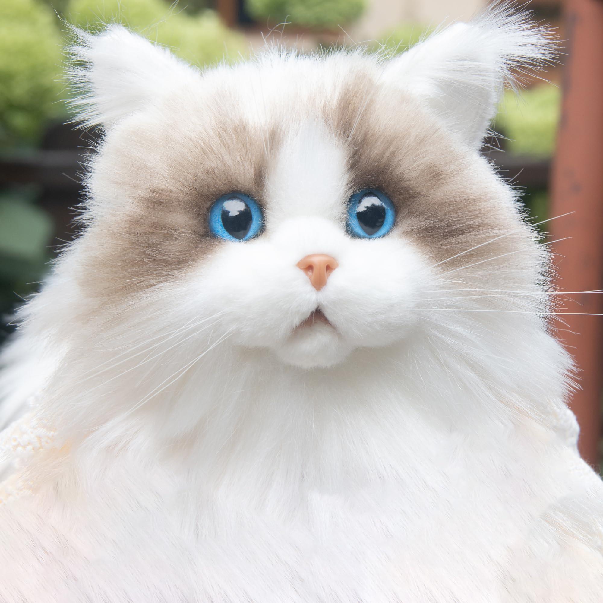 Chongker Chongker Stuffed Animals Plush - Realistic Animals Plush, Lifelike Toy, Ragdoll Cat