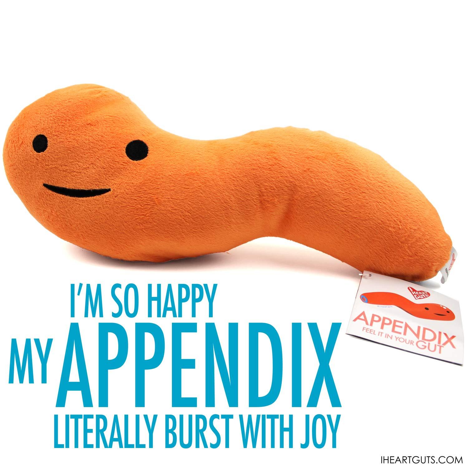 I Heart Guts I Heart Guts Appendix Plush - Feel It In Your Gut - 14\" Stuffed Organ Plush Toy, Appendix Removal Get Well Gifts, Ideal for Appendicitis, Kids, Nurses, Medical Students,Surgery