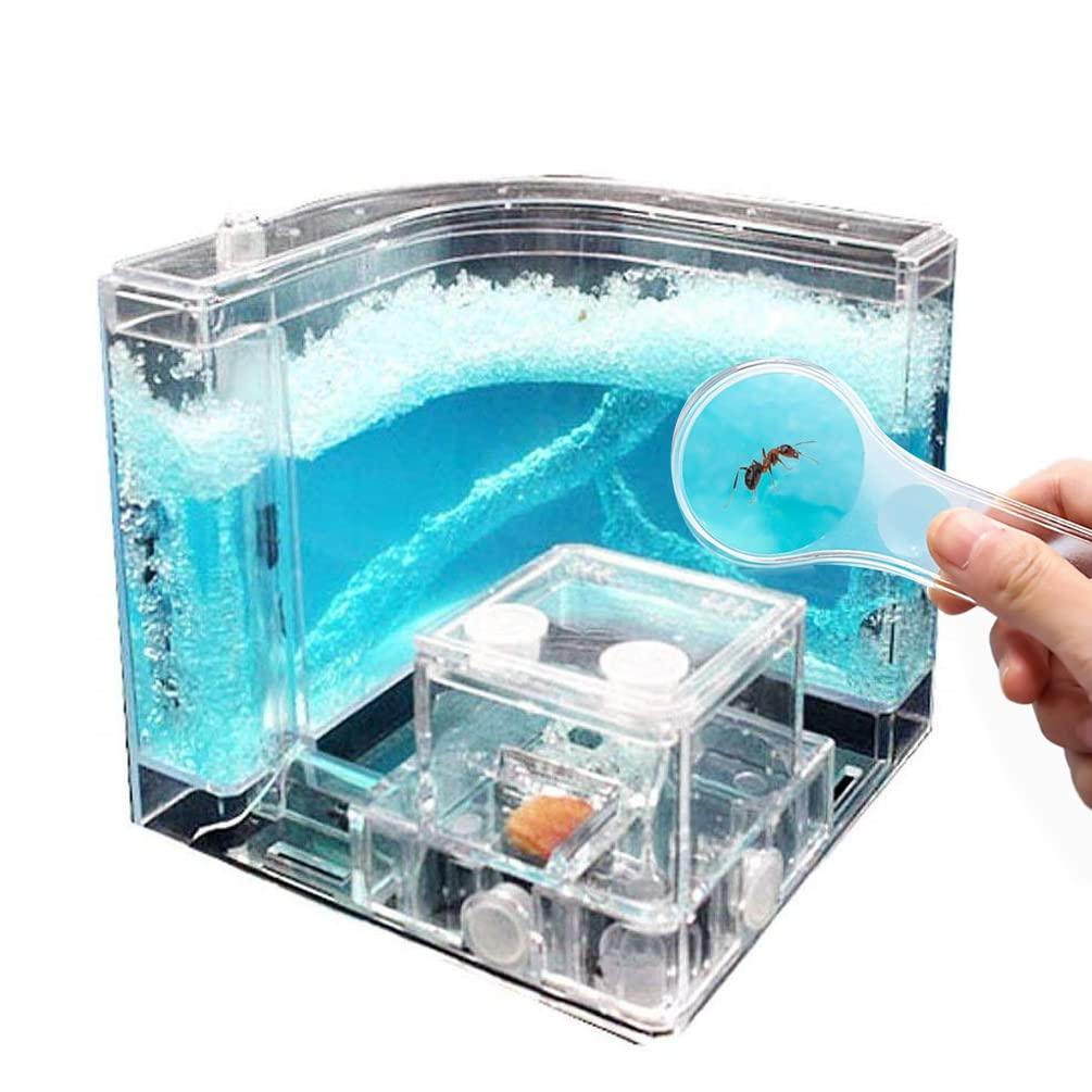 NAVADEAL NAVADEAL Ant Farm Castle Experiment and Toy Allows Study of Social Structure, Architecture, Ecosystem, and The Behavior of Ants Within The 3D Maze of Translucent Gel