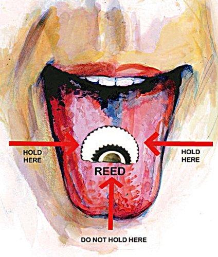 The One Stop Fun Shop Bird Whistle 5 Pack - Swiss Warbler - Original Magic Tweeting Noisemaker