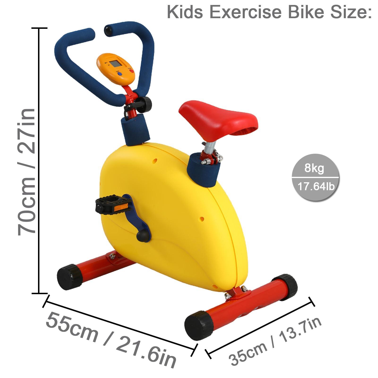 QBDGXFC Children's Fitness Exercise Equipment, Kids Fitness Workout Exercise Toys, Exercise Kids Stationary Bike, Fitness Exercise Equipment for Boys and Girls 3-12 Year Old