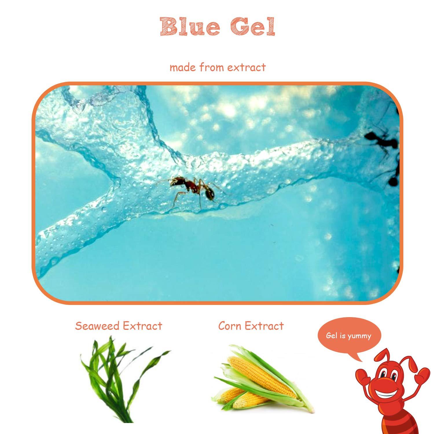 NAVADEAL NAVADEAL Ant Farm Castle Experiment and Toy Allows Study of Social Structure, Architecture, Ecosystem, and The Behavior of Ants Within The 3D Maze of Translucent Gel