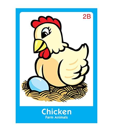 Super Duper Publications Super Duper Publications | Classifying Fun Deck Flash Cards | Educational Learning Resource for Children